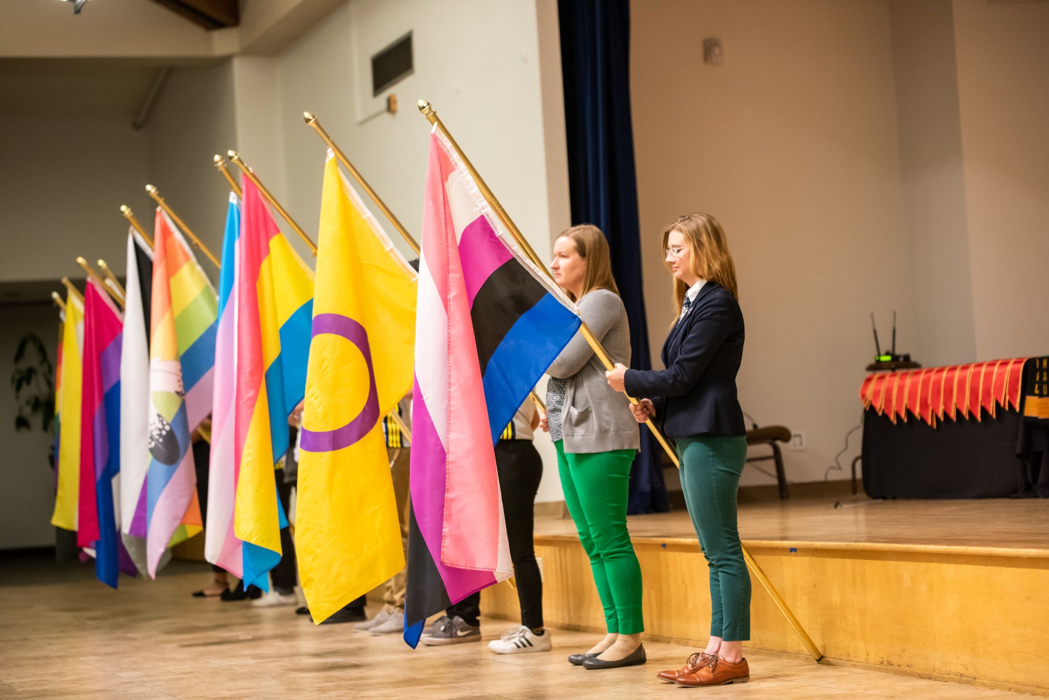 Line of people at inclusion rally holding pride flags.