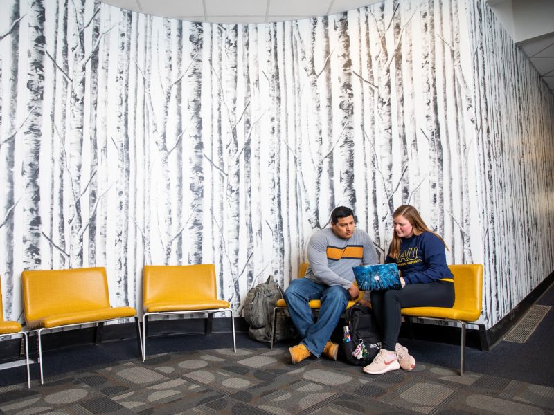 Two students sitting on chairs working on a laptop.