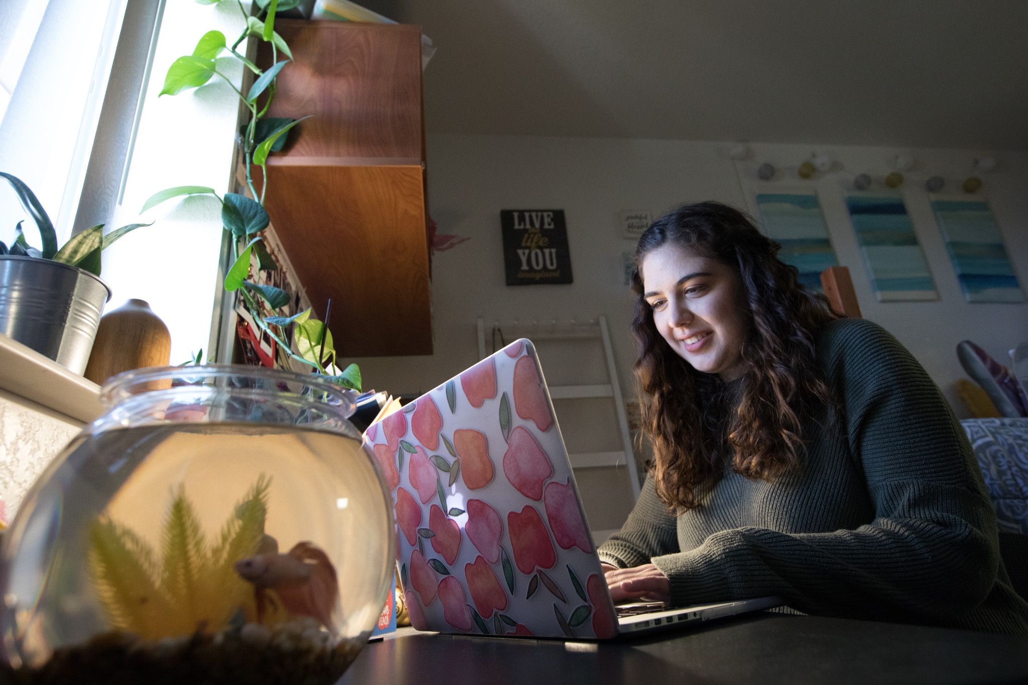 Student in residence hall on a computer.
