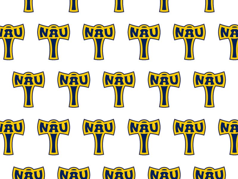 N A U Axe banner logo