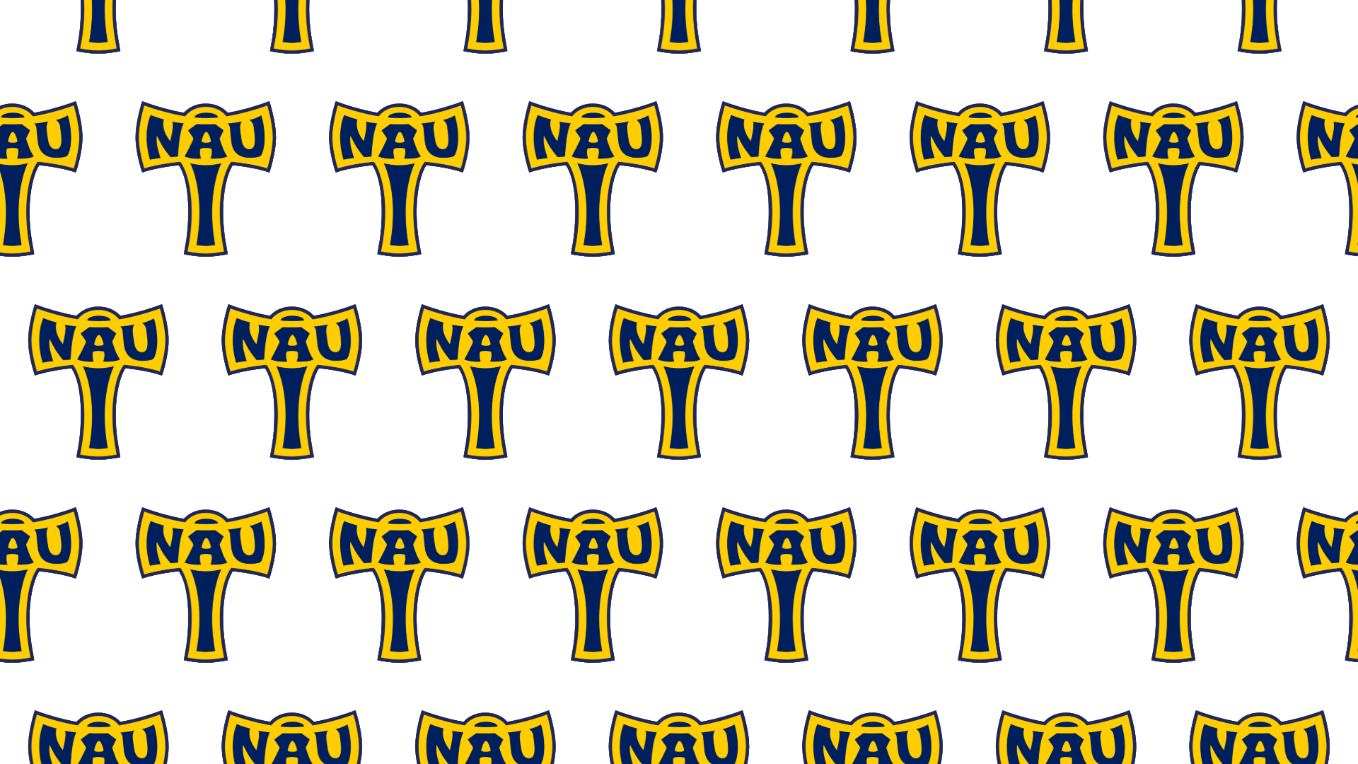 N A U Axe banner logo