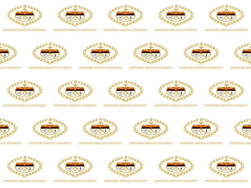 N A U Academic Crest logo from 1966