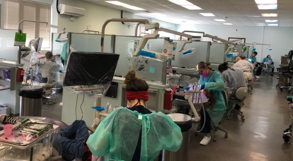 A large group of dental hygienists working on patients.