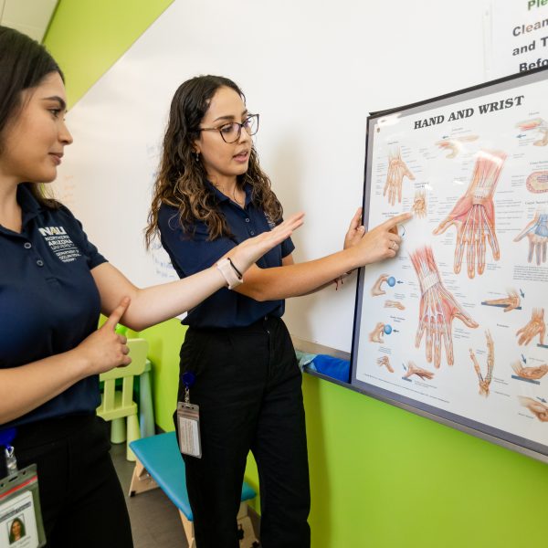 Click image for more information on AOTF scholarships. Two female occupational therapy students refer to an anatomical diagram of the hand and wrist and identify structures on their own wrists and forearms. 