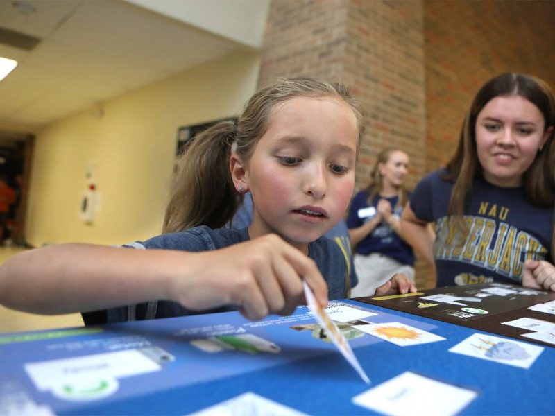 Evie Lewis, 10, looks to match words with pictures as part of a weather relay race during the Reading Between the Pines summer camp on Tuesday, July 1, at Northern Arizona University. The camp serves children with dyslexia and other reading challenges through fun activities and literacy therapy overseen by licensed speech-language pathologists.