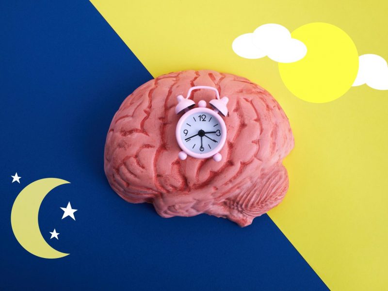 Model brain with a clock on top against a day and night background.