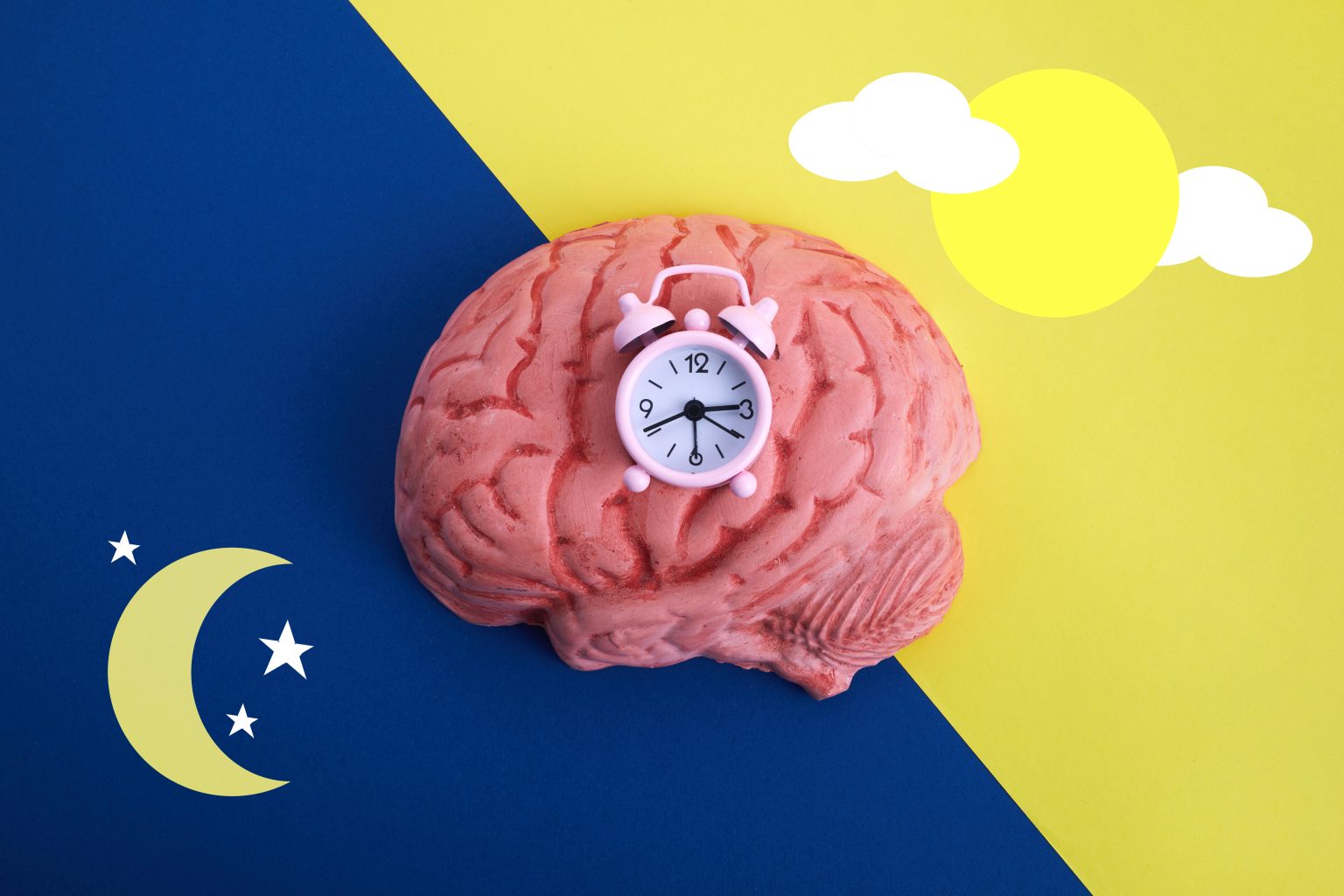Model brain with a clock on top against a day and night background.