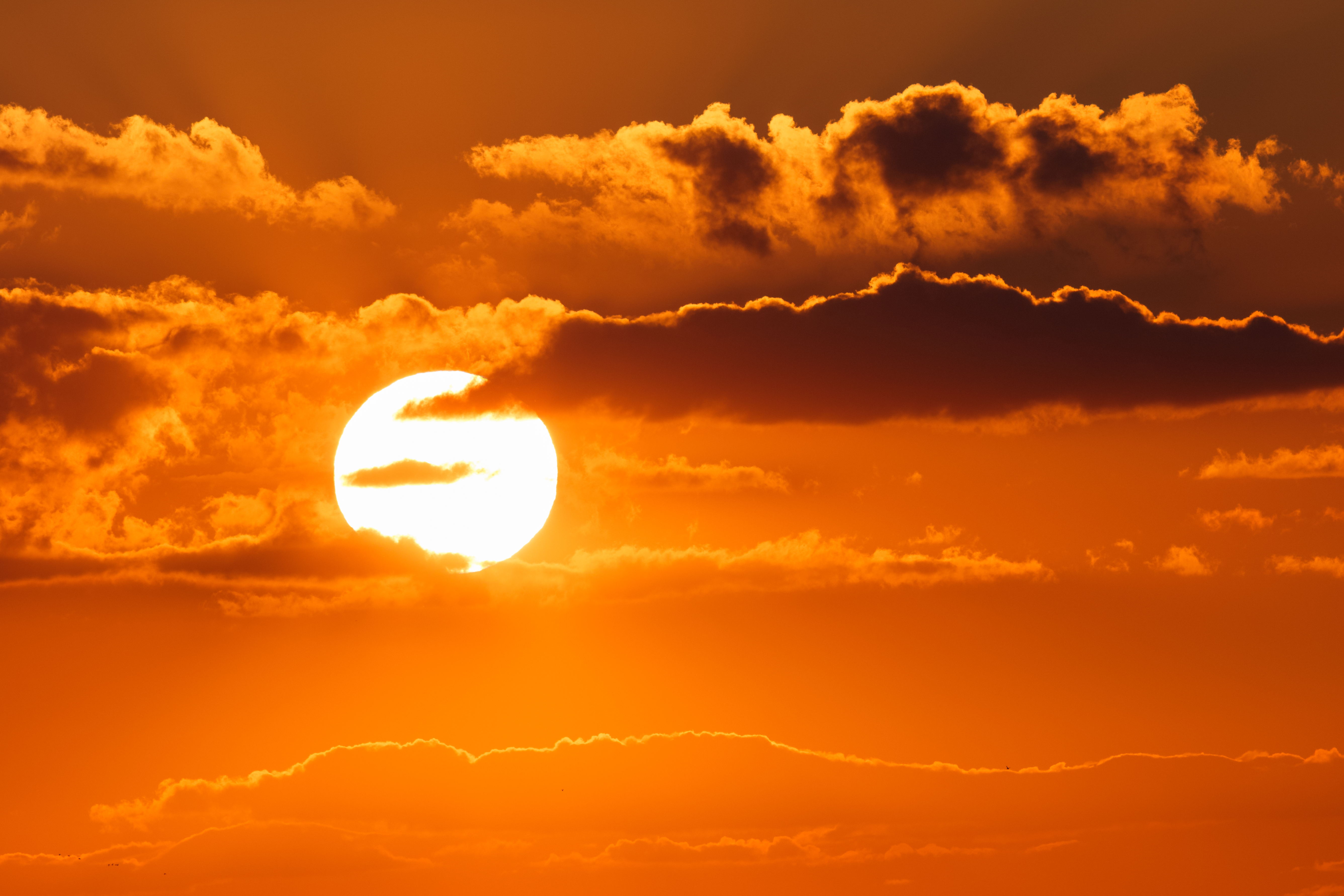 Hot evening sun.
