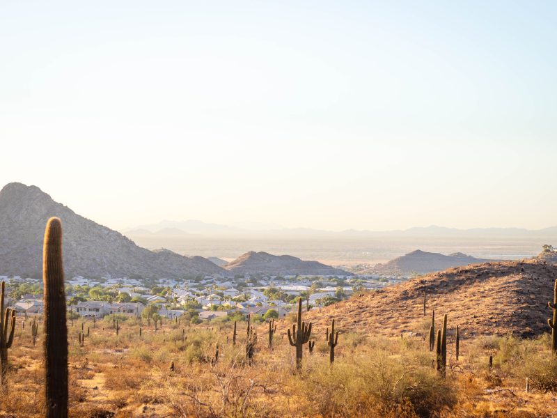 Sonoran desert landscape