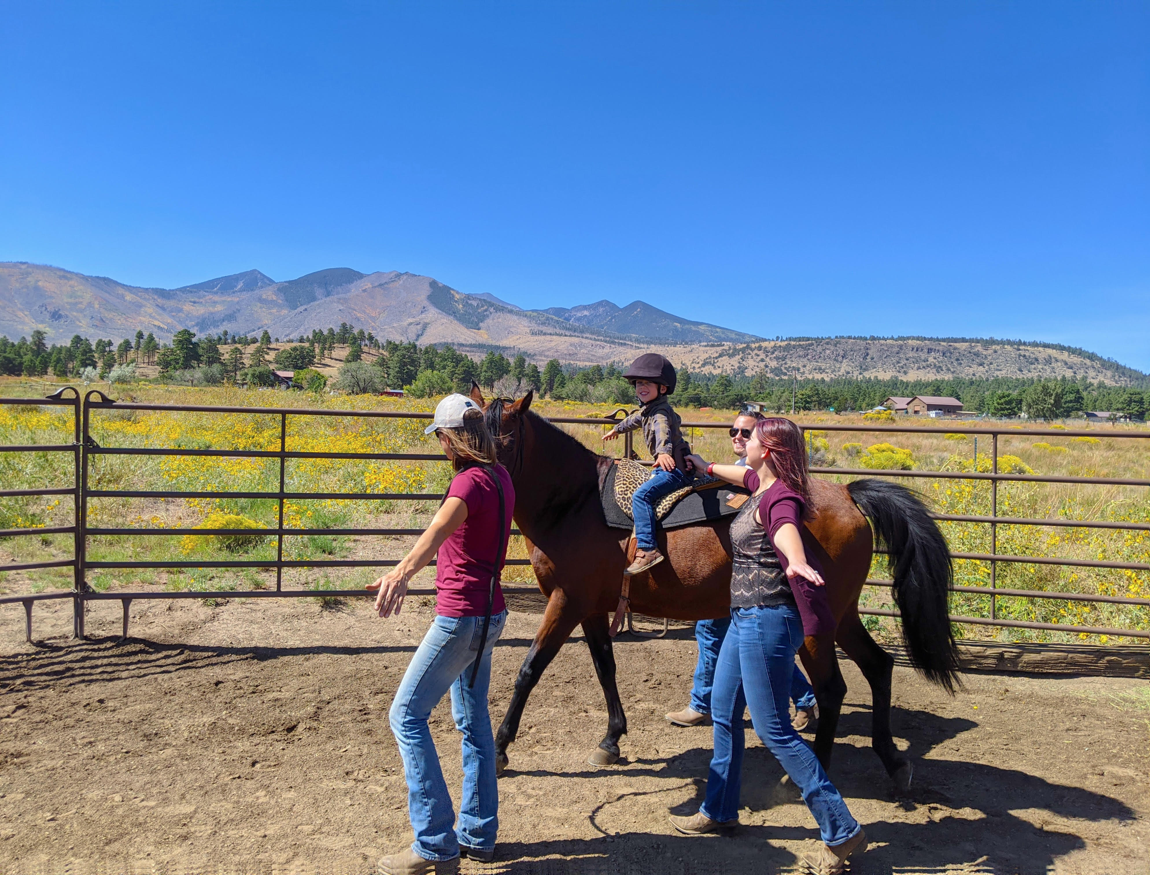OT session done on with a horse out on a Flagstaff Ranch with a child, therapist, and parents.