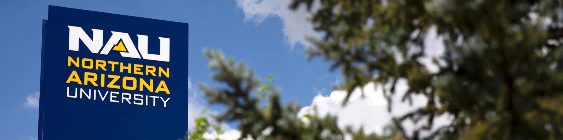 An image of a N A U sign with a tree in front of it.