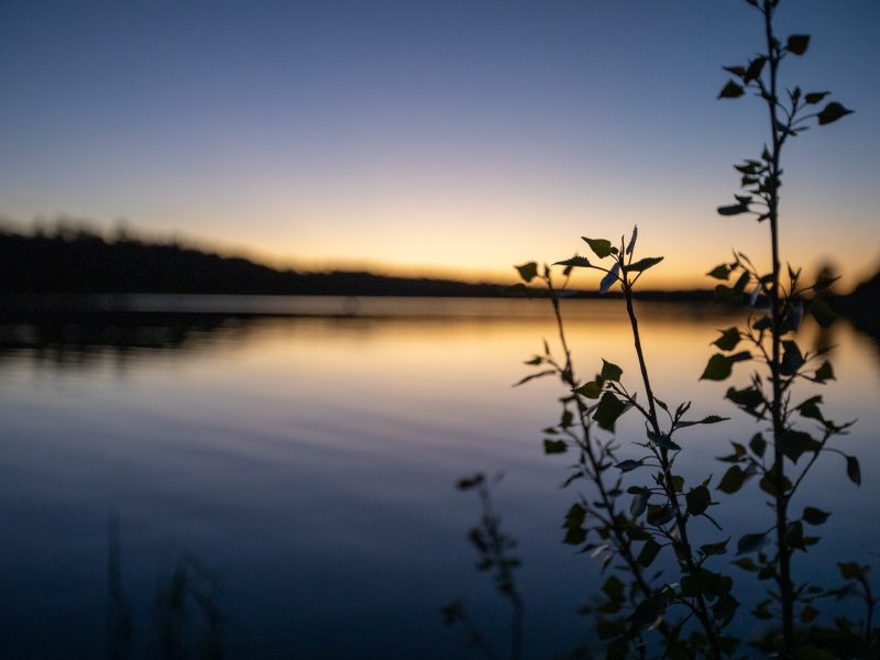 View of lake mary at sunset.