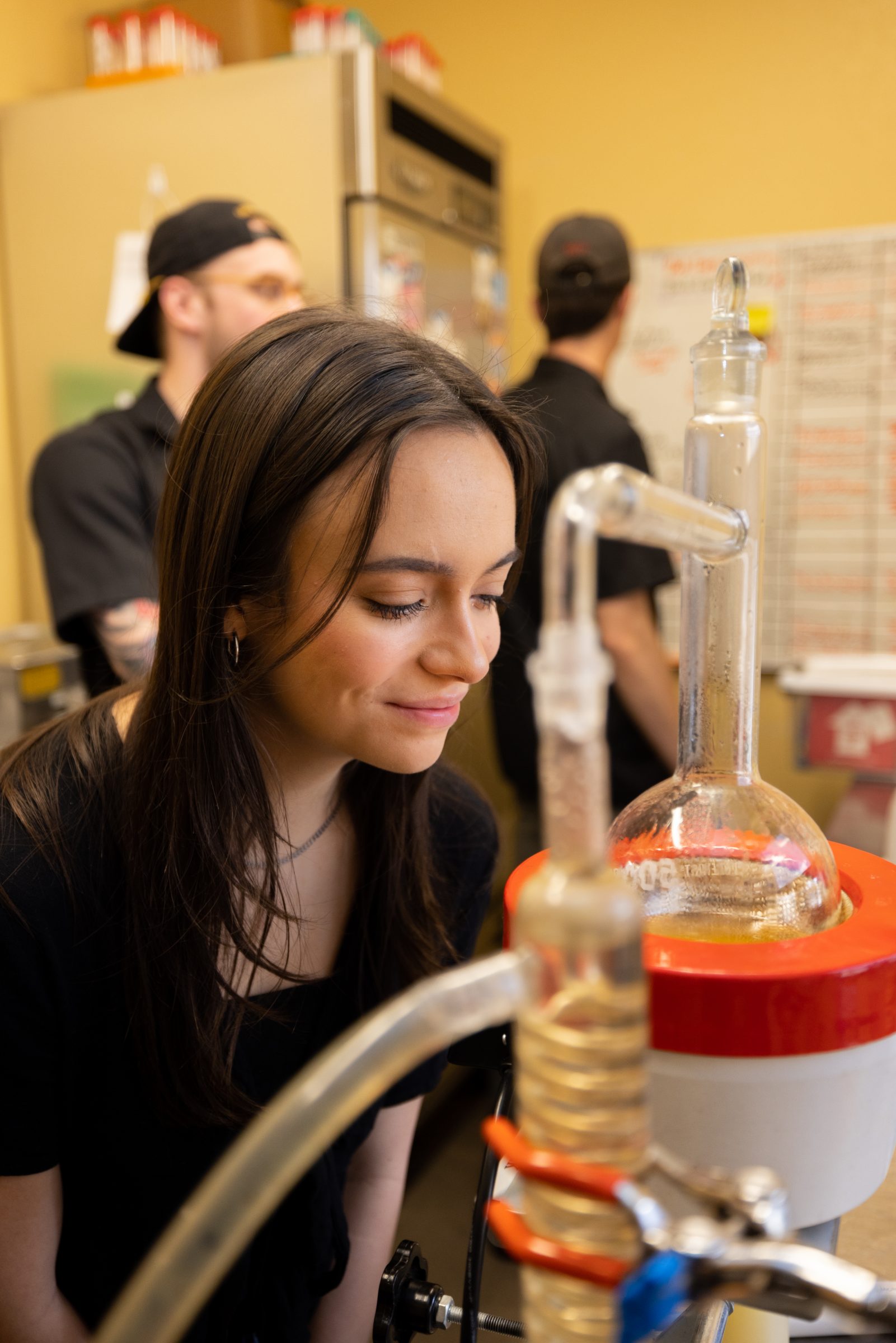 Person observes beer being made at Mother Road Brewing.