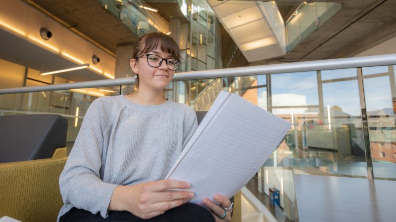 Student studying in a study lounge.