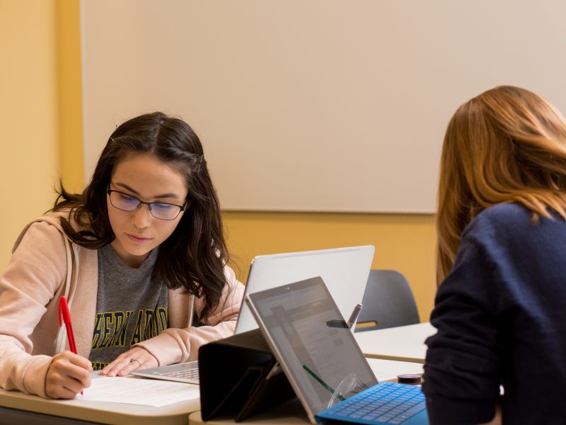 Students studying in class.