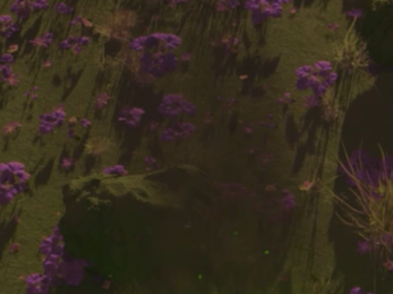 Animation shot by Jaewook Lee of purple flowers in a green field.