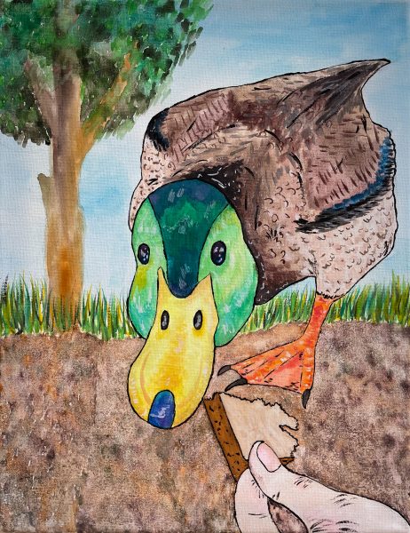 Painting of a hand with bread feeding a duck.