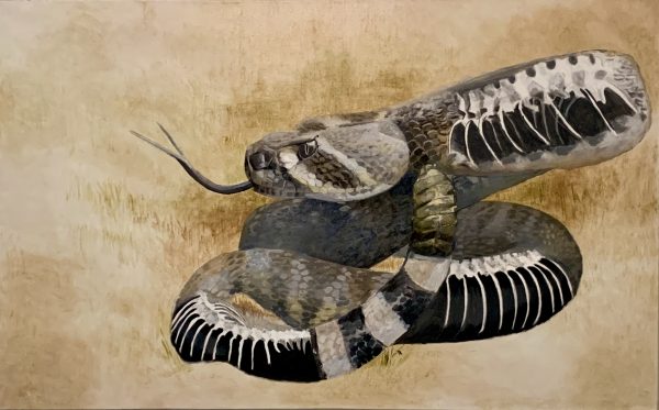 A painting of a rattlesnake in the desert called "The Warning."