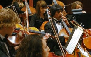 Orchestra ensemble playing together on stage.