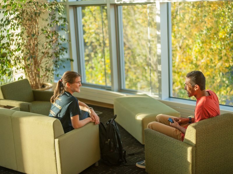 N A U students working in a lounge with a large window in the back showing off a green environment.