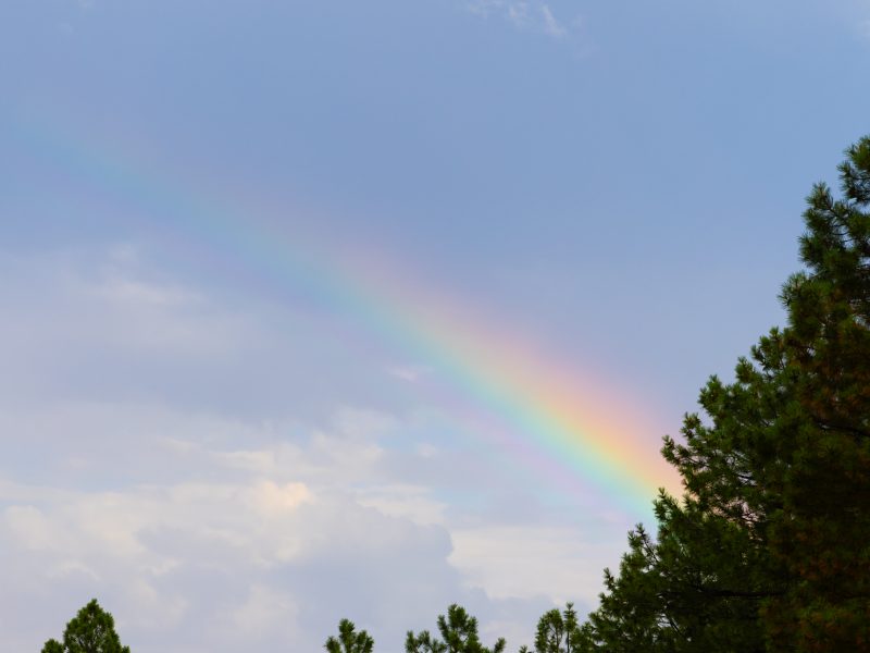 A rainbow in Flagstaff.