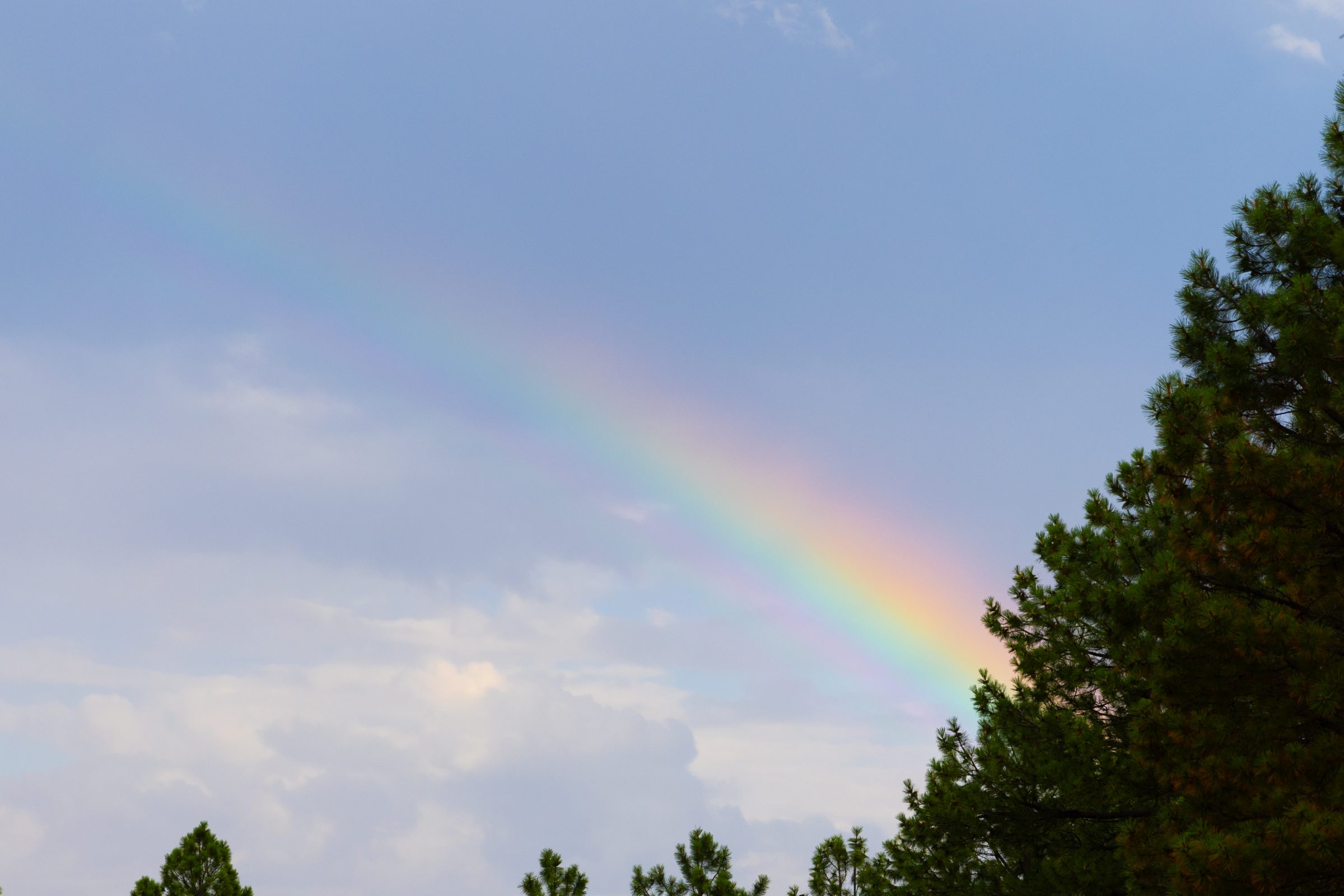 A rainbow in Flagstaff.