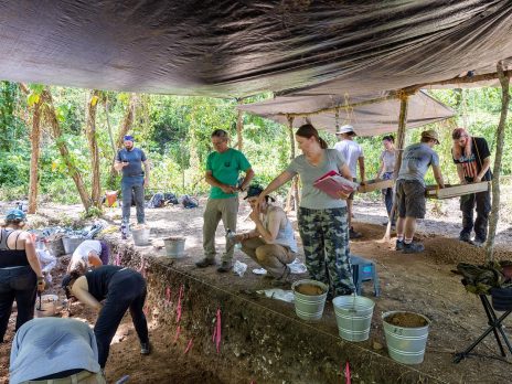 People digging in the dirt, collecting dirt, and sorting rocks under a tarp during the Ecology field class in Belize.