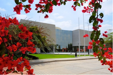 A view of a building behind red flowers.
