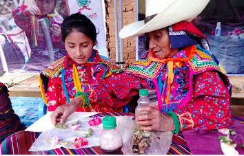 Two woman making a traditional cultural meal.