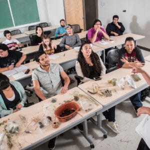 students in classroom
