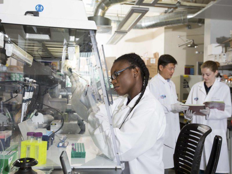 Student researchers workin in lab.