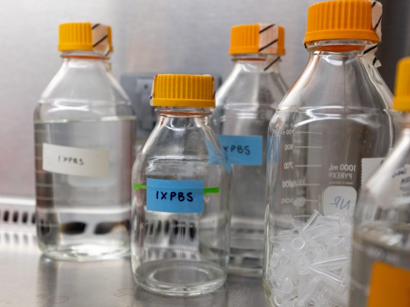 Bottles of chemicals in a chemistry lab.