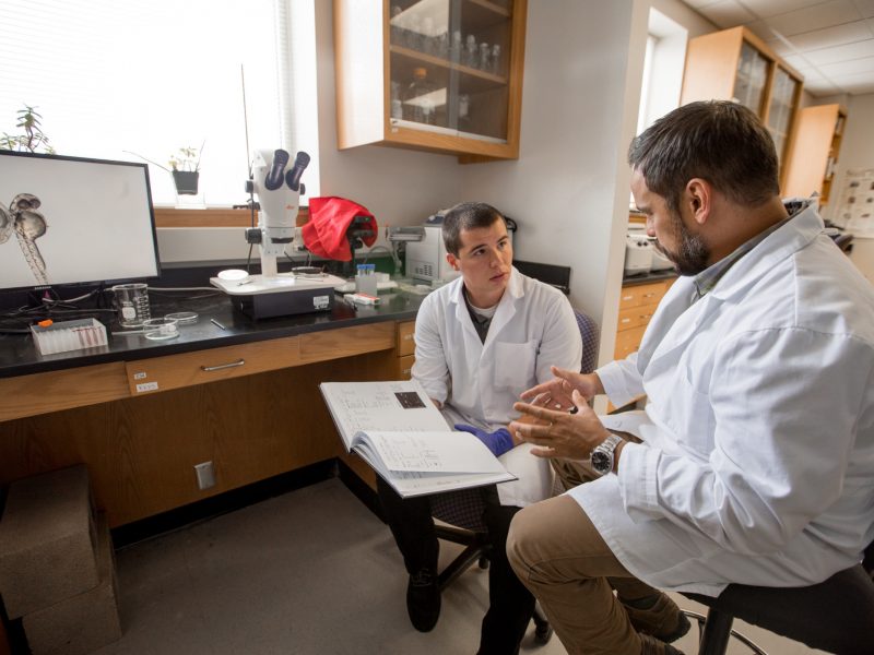 Two researchers reviewing paper work in lab.