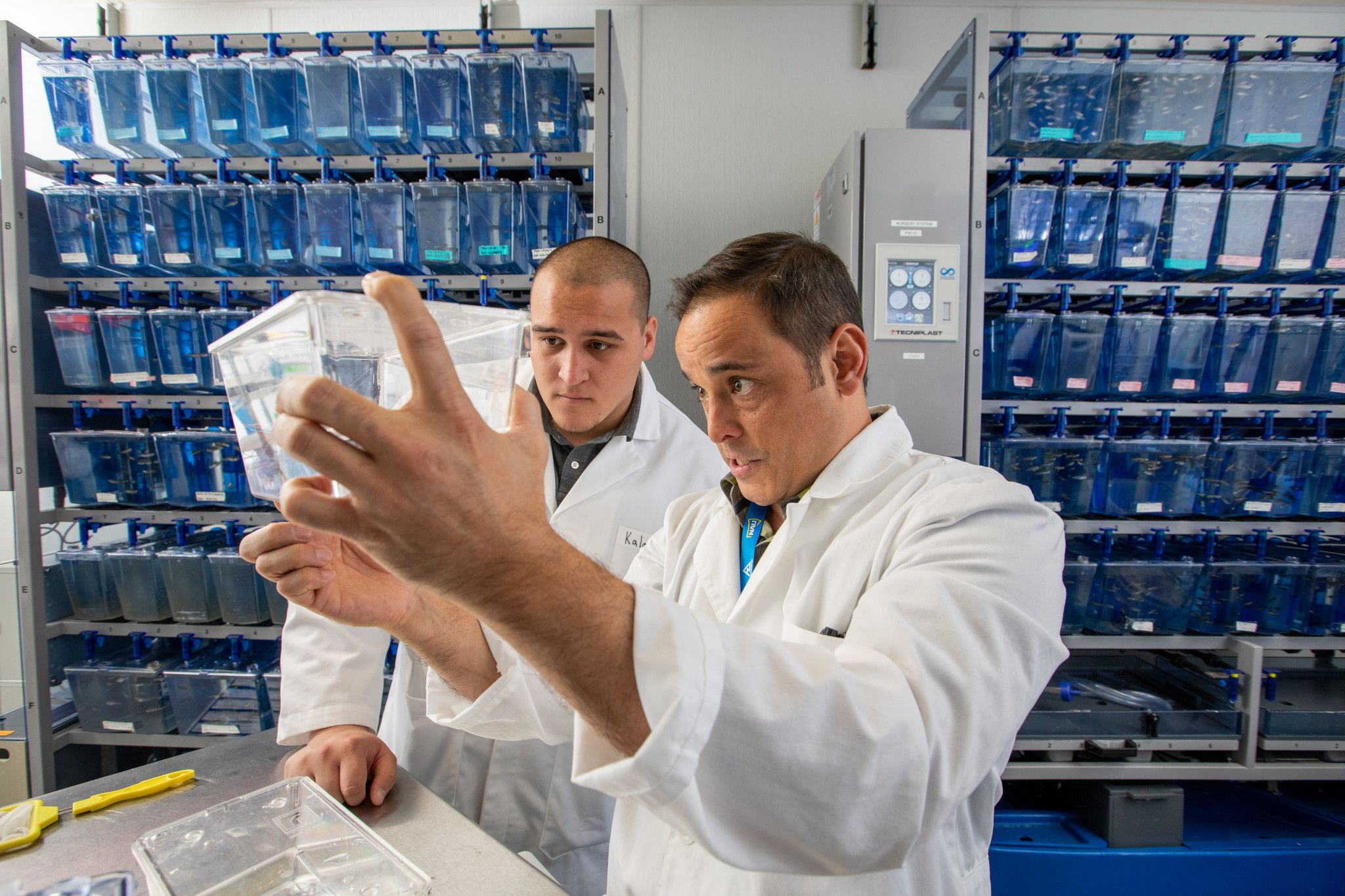 Matt Salanga and student looking at zebra fish.