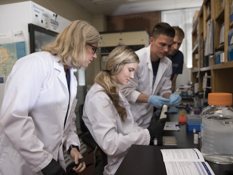 Researcher with students in lab.