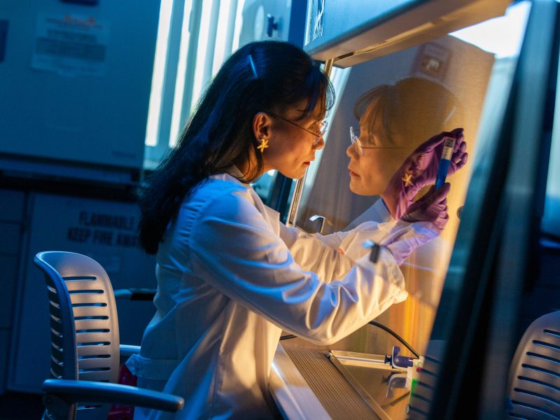 Researcher working in the P M I lab.