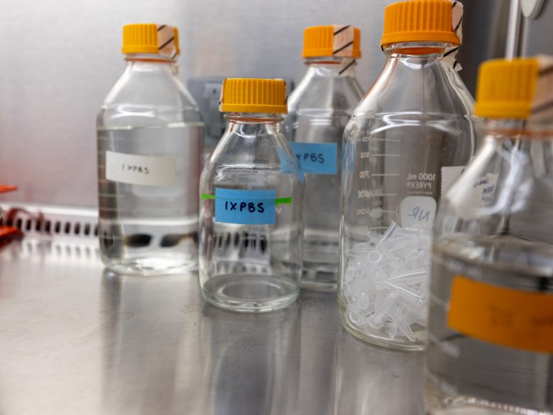 Beakers in a lab sitting on a counter top.