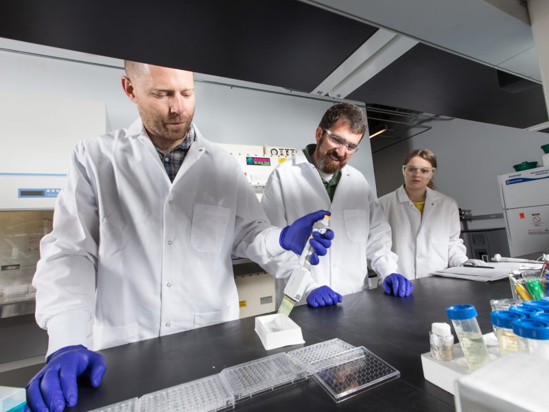 Researchers working lab on invention.