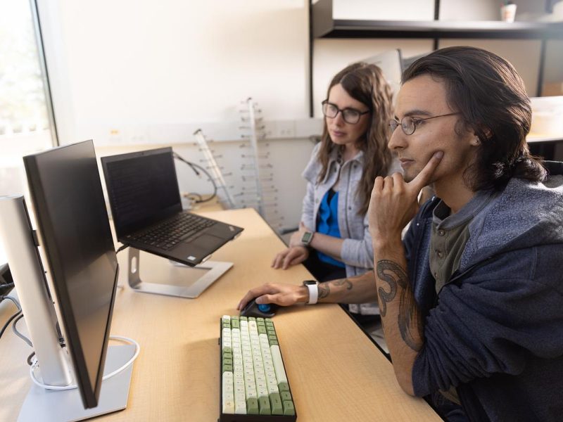 Researcher and student sitting in a lab working at a desk on the computer.