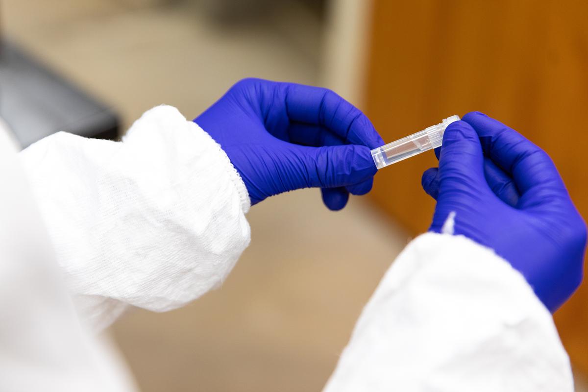 Gloved hands holding a plastic vial or test tube, wearing blue disposable latex gloves.