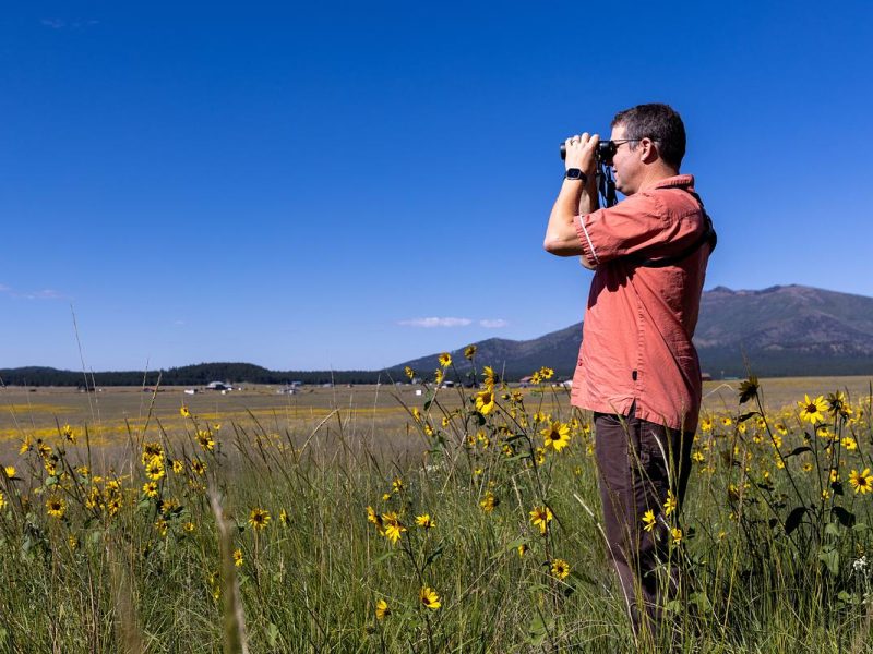 A person wearing a red jacket standing in a grassy field with yellow flowers and mountains in the background, using binoculars to look at something.