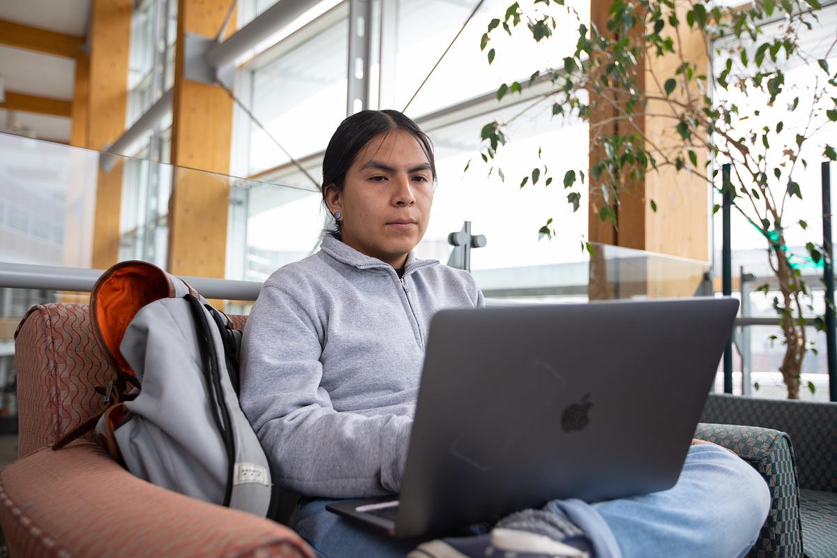 Student sitting on chair using laptop computer in indoor setting with window and plants visible in background.