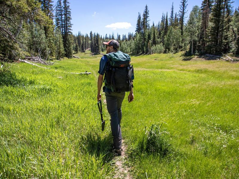 A person with a backpack walking on a dirt path through a grassy meadow surrounded by pine trees and mountains in the background.