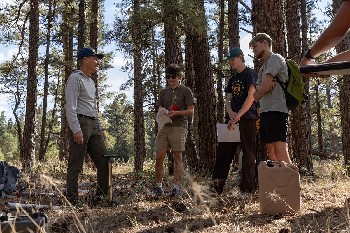 A group of people standing in a wooded area, surrounded by pine trees. They appear to be engaged in some sort of outdoor activity or discussion.