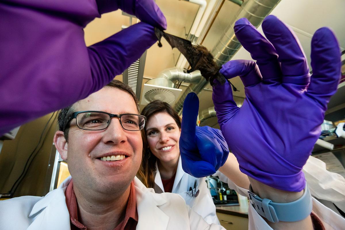 Two individuals wearing lab coats and purple gloves, one is holding a bat while the other is examining it.
