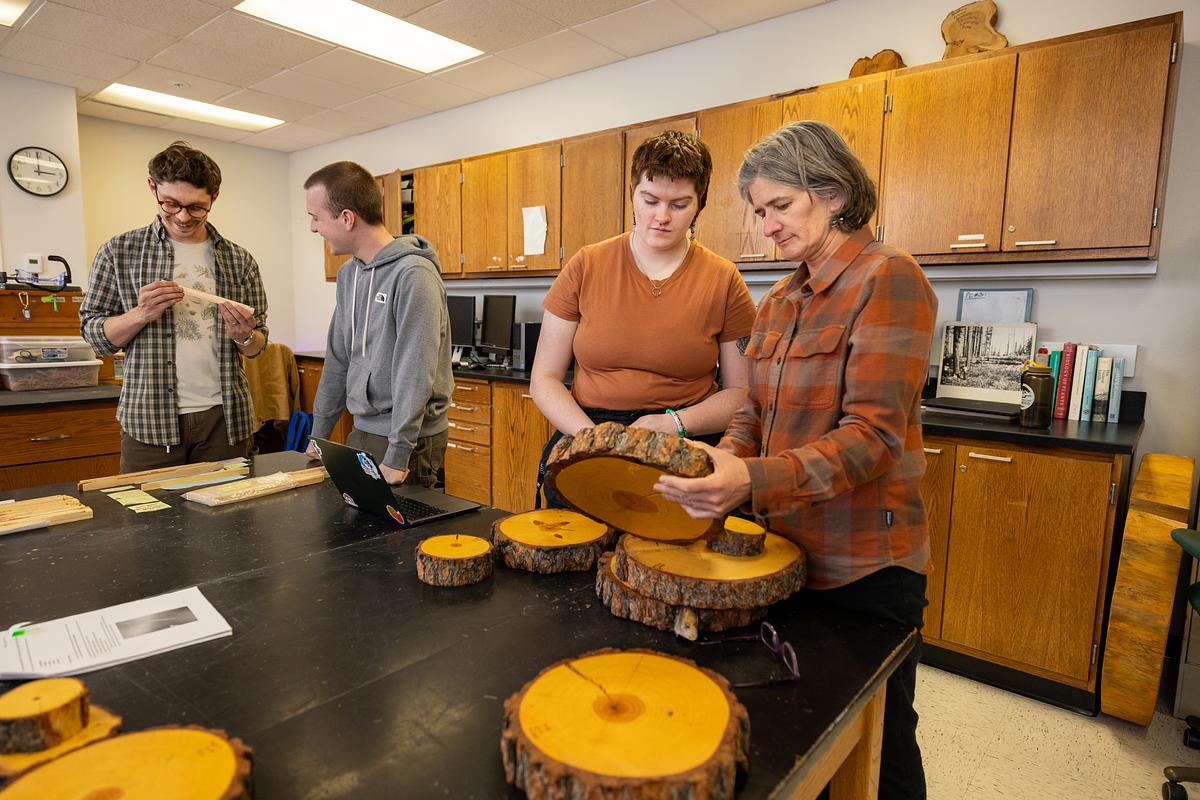 Students working in the Forestry Silviculture lab. Female student talking to researchers with tree rings slices on the table.