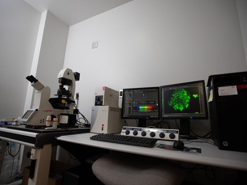 A workstation with multiple computer monitors displaying biological or scientific data, a microscope, and various computer peripherals.