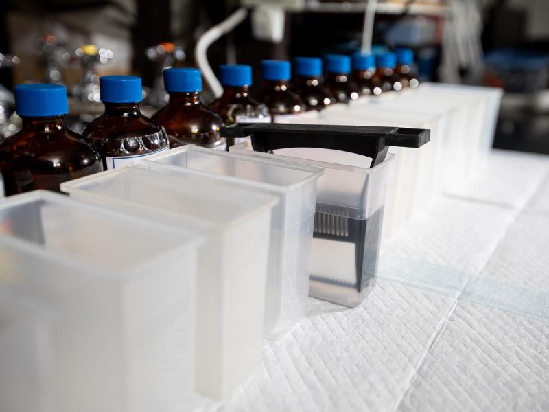 Several plastic containers and bottles sitting on a table in the Imaging and Histology lab.