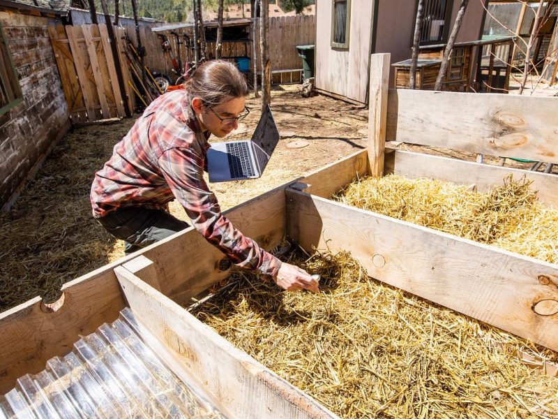 Researcher wearing a plaid shirt and jeans working on a research project in a wooden structure in an outdoor area with hay and other construction materials.