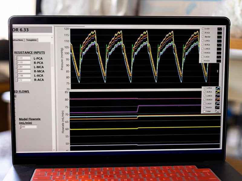 Computer screen displaying a graph with multiple colored lines and resistance input labels.